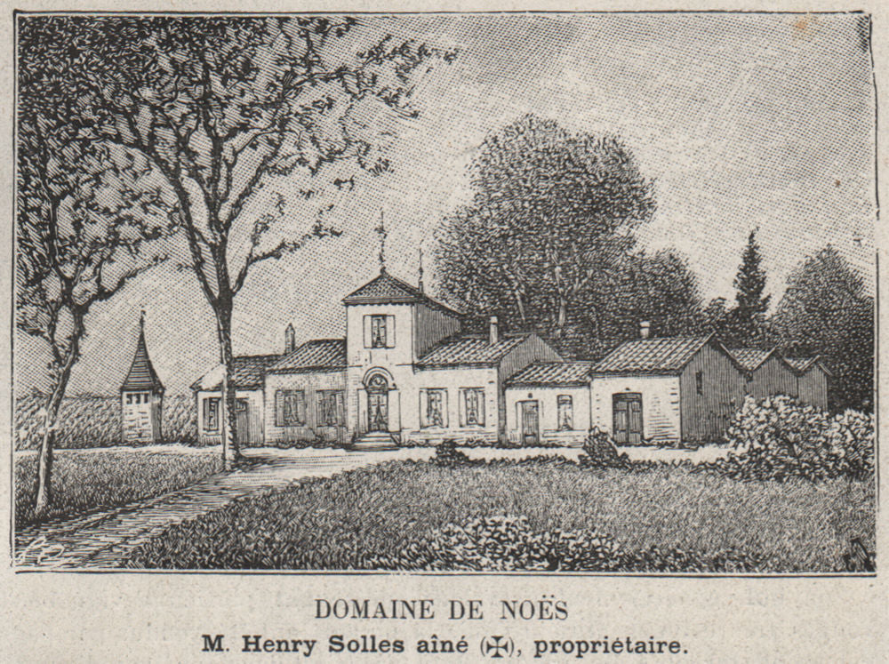 GRAVES. PESSAC. Domaine de Noès. Solles. Bordeaux. SMALL 1908 old print